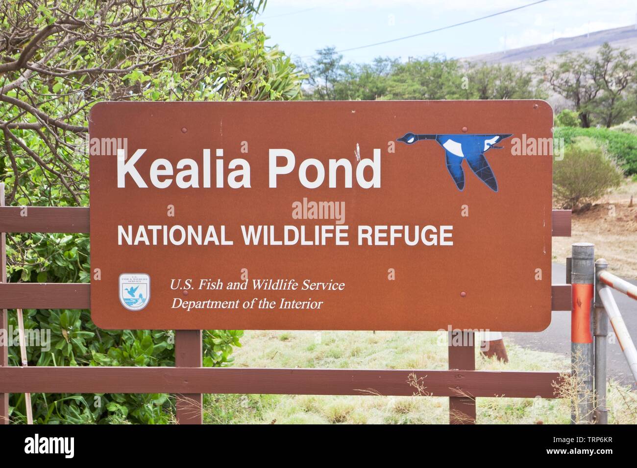 Kealia Pond National Wildlife Refuge in Maui, Hawaii Foto Stock