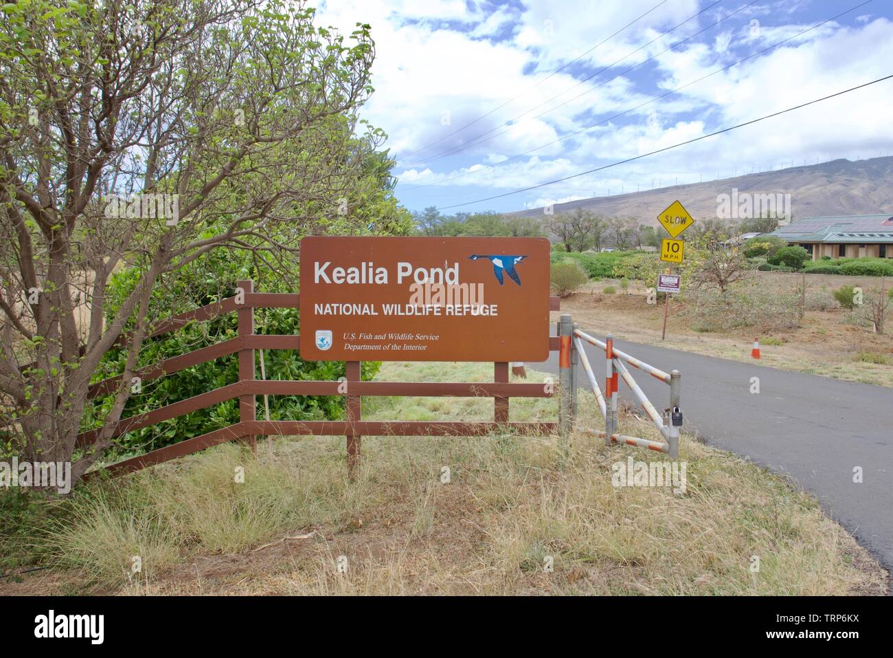 Kealia Pond National Wildlife Refuge in Maui, Hawaii Foto Stock