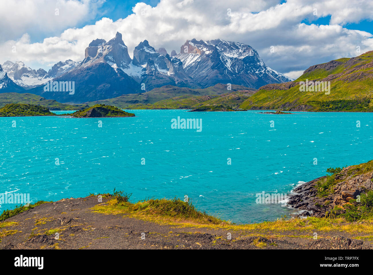 Le acque turchesi del lago Pehoe, parco nazionale di Torres del Paine nella Patagonia cilena. Foto Stock