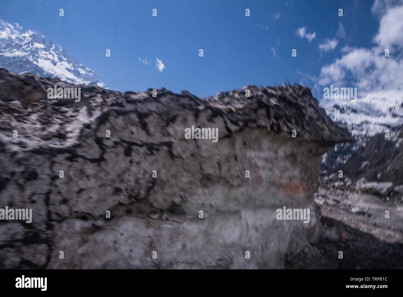 Un disastro ecologico, ghiaccio,BLOCCA,tergi out,miglia di alberi Rhododen,yumthang Valley,in attesa di bloom,a metà aprile,2019, Foto Stock