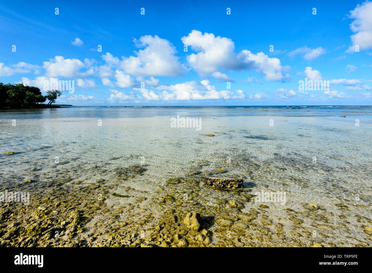 Coral Beach a Breakas Resort, Port Vila, Vanuatu, Melanesia Foto Stock