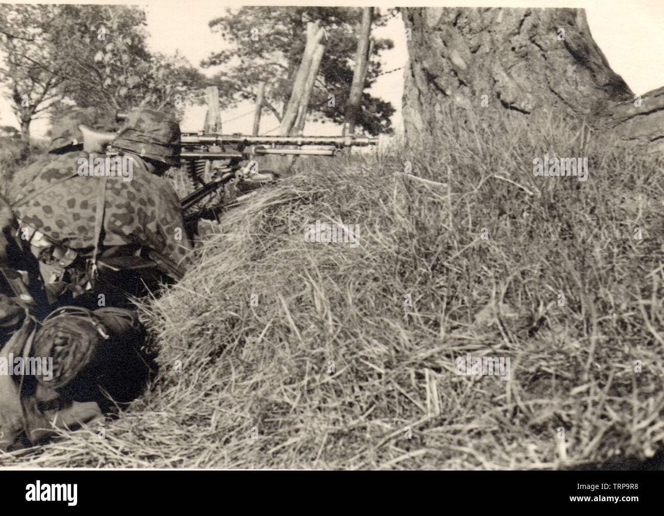 Waffen SS in camuffamento Camici con una mitragliatrice MG34 in Francia 1940 Foto Stock