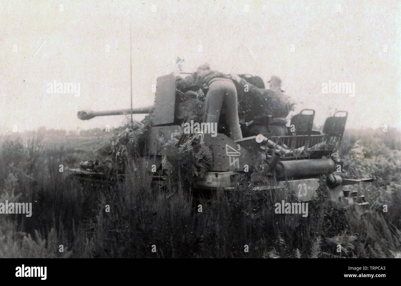 Waffen SS truppe nel camuffamento di camici in Marder Panzer 1942 sul fronte russo Foto Stock