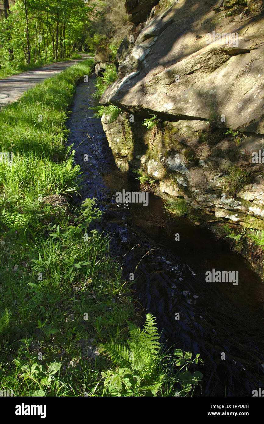 Alto Harz acqua regale (Oberharzer Wasserregal), Germania, la gestione delle acque, Rehberger Graben Foto Stock