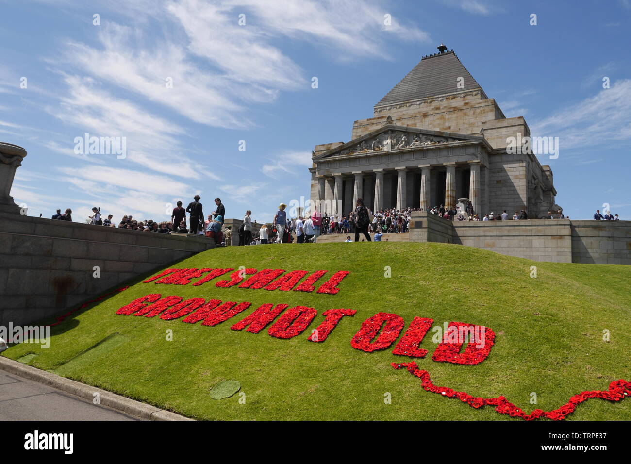 L'immagine orizzontale del Santuario del ricordo il giorno dell'Armistizio con filo rosso papavero ortografia " essi devono crescere non vecchi' su erba verde in primo piano. Foto Stock