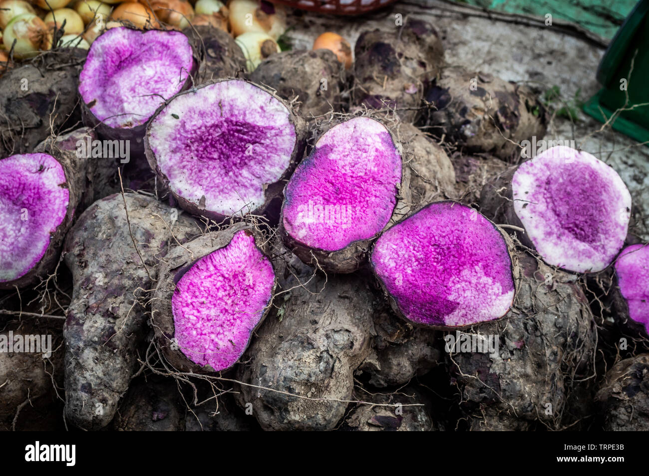 Viola taro nel mercato locale di Saigon Foto Stock