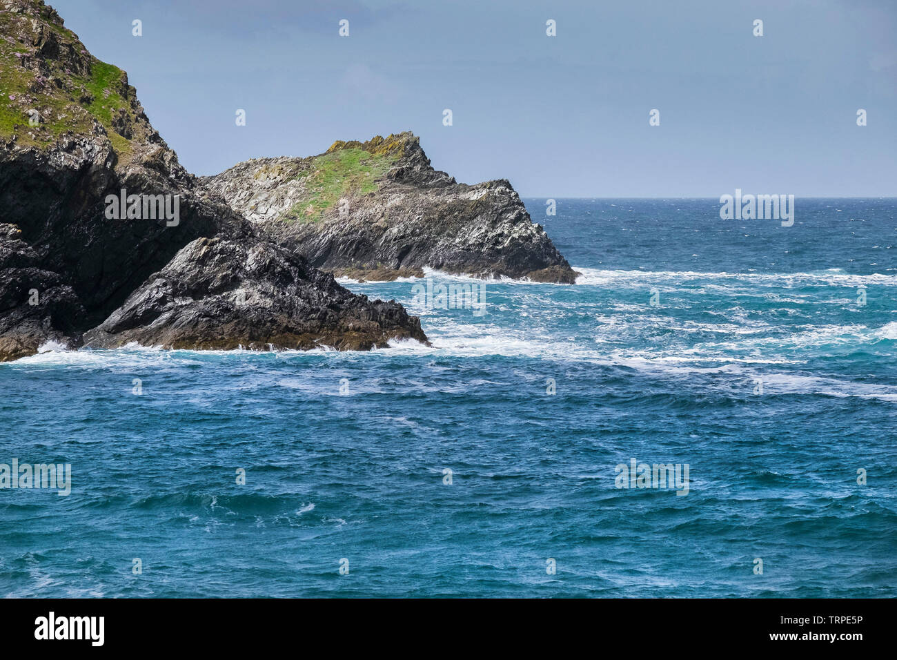 Il pulcino, la rocciosa isola disabitata dietro Kelsey testa sulla North Cornwall Coast. Foto Stock