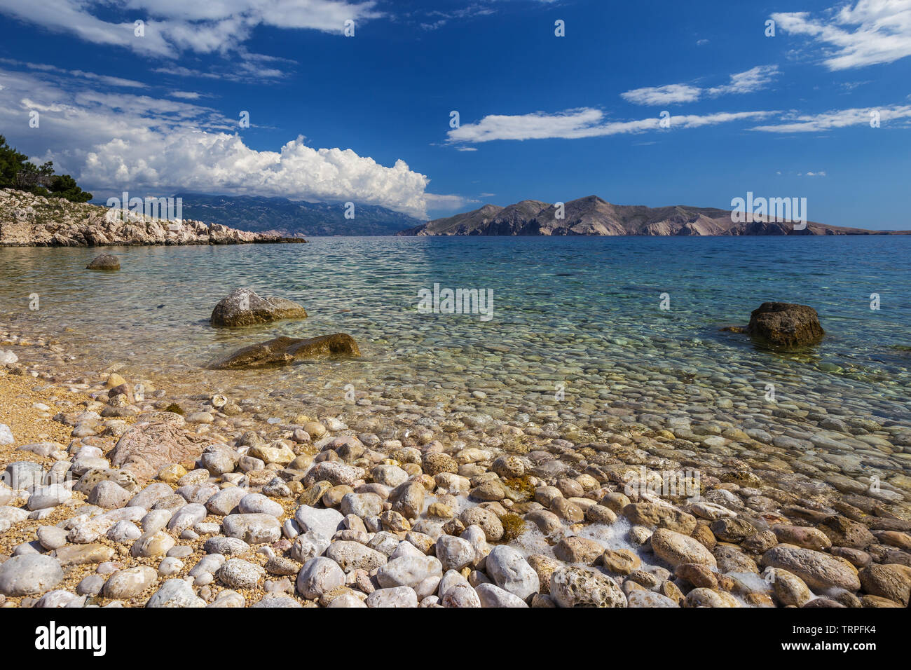 Spiaggia Vela Vrzenica. Stony Beach. Isola di Krk. Acqua di mare trasparente. Croazia. Europa. Foto Stock