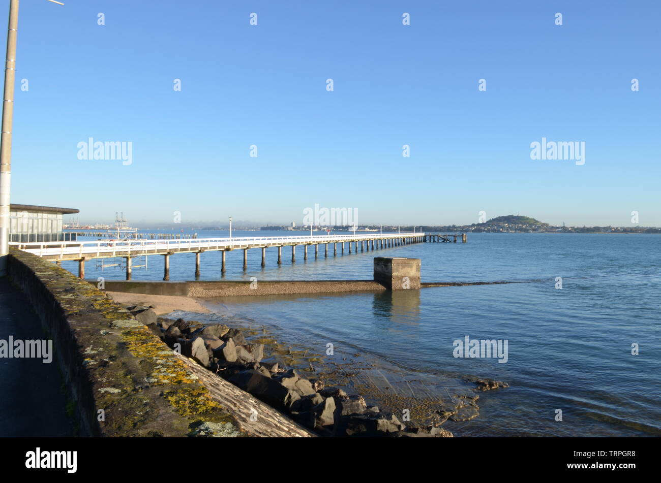 Okahu Bay Wharf a bassa marea Foto Stock