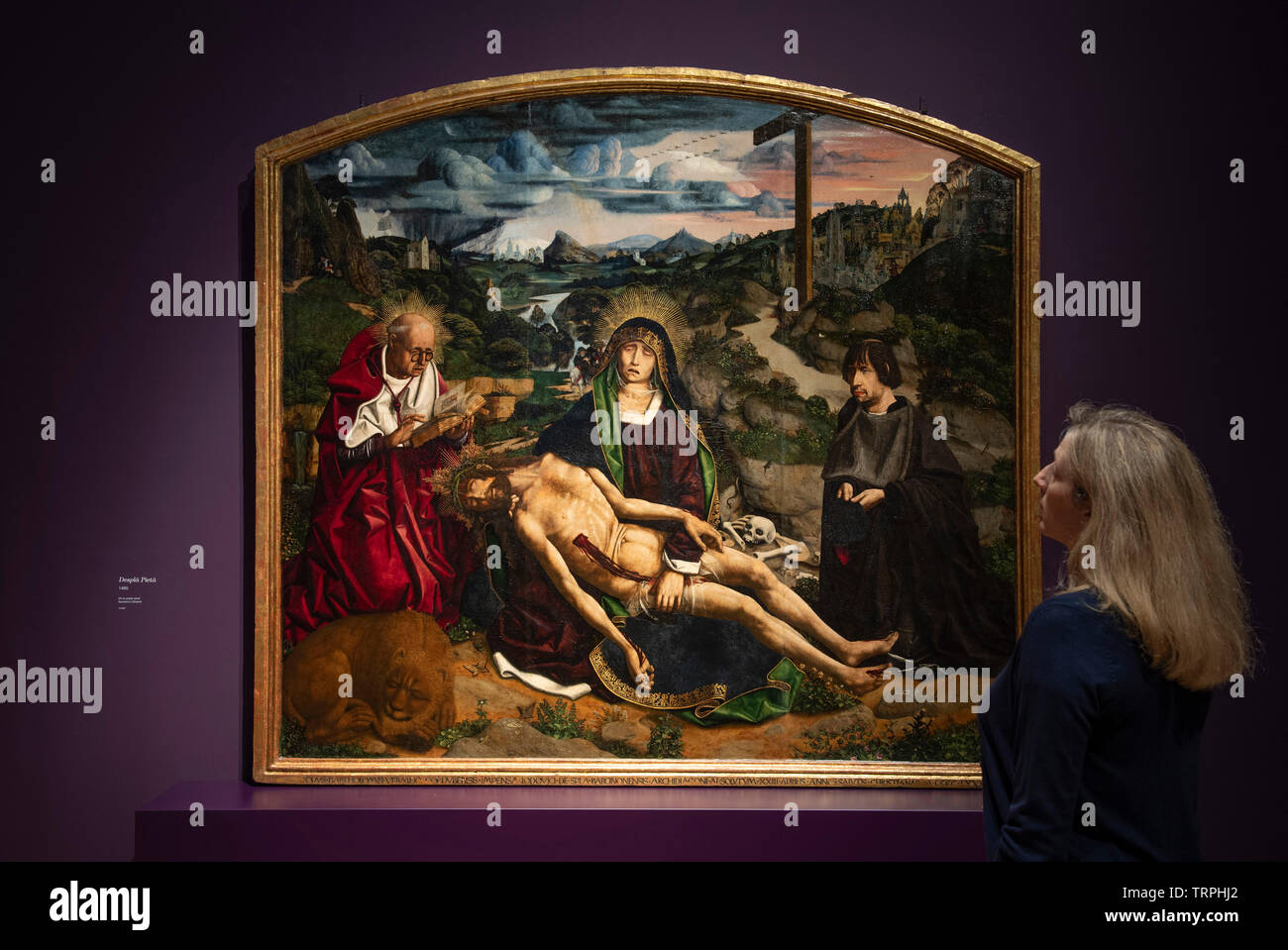 National Gallery di Londra, Regno Unito. 11 giugno 2019. Bartolomé Bermejo: Maestro del Rinascimento Spagnolo, uno di Spagna più innovativa e ottenuta pittori attivi nella seconda metà del XV secolo. La mostra va dal 12 giugno - 29 settembre 2019. Immagine: Curatore Letizia Treves di fronte Desplà Pietà, probabilmente 1490. La cattedrale di Barcellona. Credito: Malcolm Park/Alamy Live News. Foto Stock