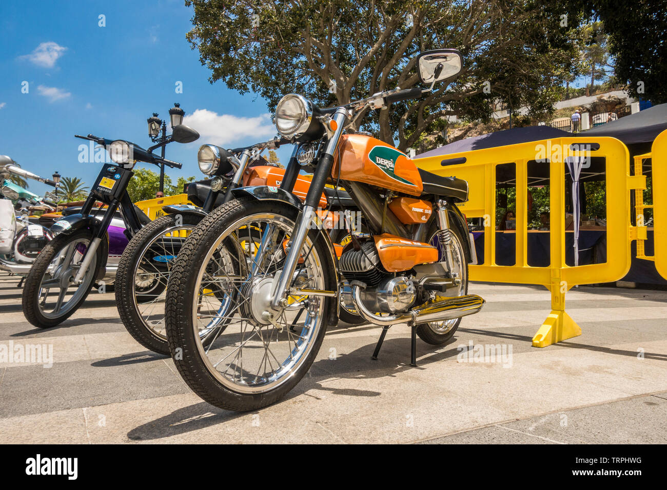 Biciclette classiche, Derbi tricampeon 49cc, sul visualizzatore in corrispondenza di un classico annuale riunione del motociclo in Mijas, Andalusia, Spagna. Foto Stock