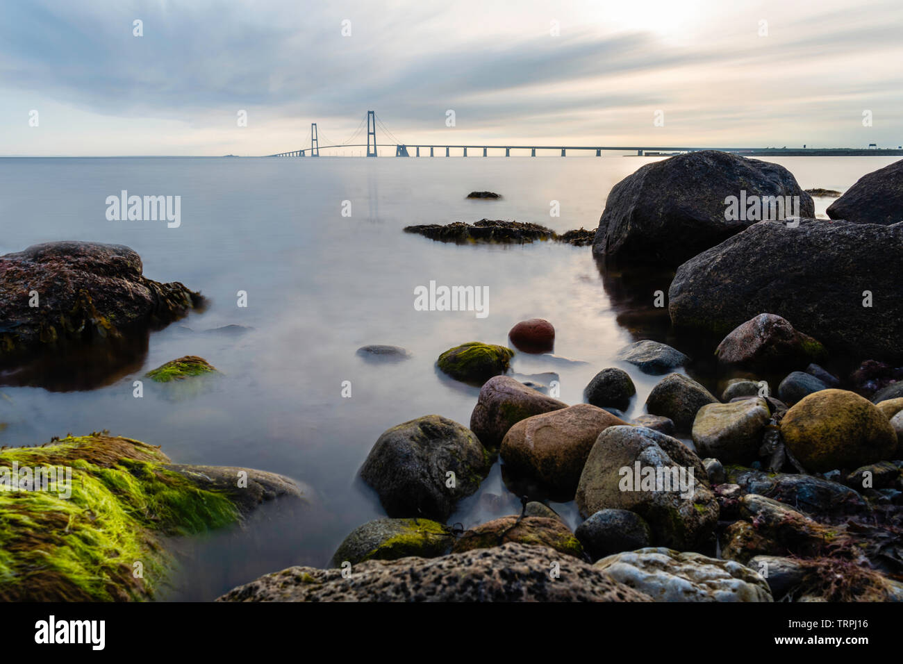 Il ponte ad est del Grande Belt Bridge da Granskoven strand in Danimarca con rocce colorate e il mare in primo piano Foto Stock