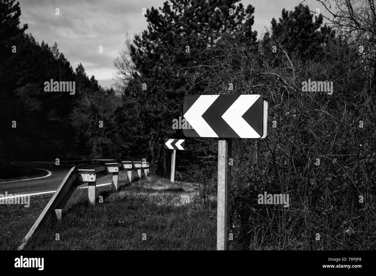 Giallo linee di frenatura su strada, viaggi e trasporti Foto Stock