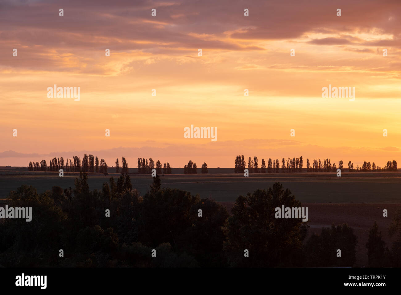 Tramonto in Castilla, Castilla y Leon, Spagna, alberi e belle nuvole con luce arancione Foto Stock