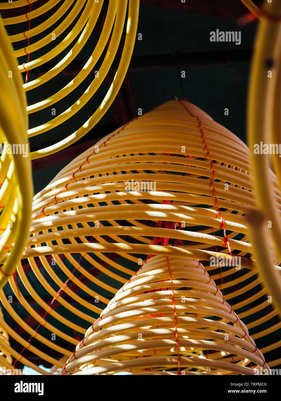 Più grande giallo incenso bobine appese in pile dal soffitto in un tempio cinese Foto Stock