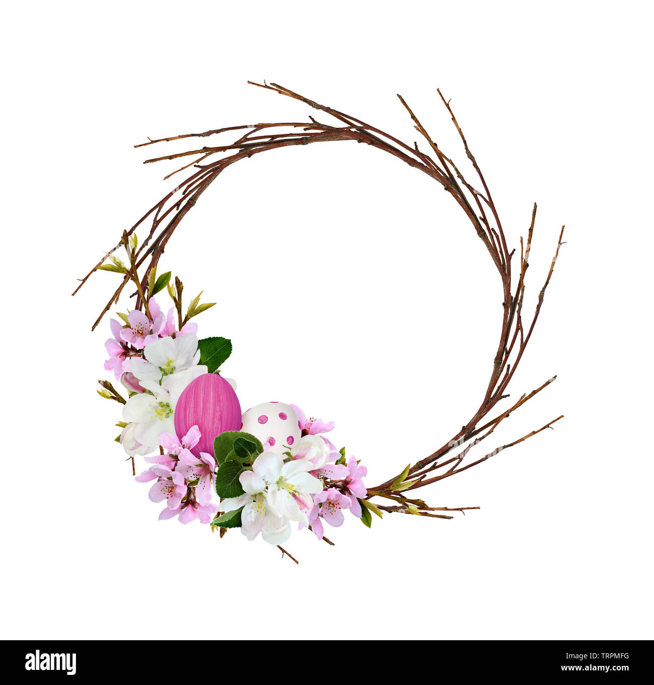 Ghirlanda rotonda da ramoscelli secchi con rami della molla di pesca e mela fiori e dipinta di Pasqua uova isolate su sfondo bianco Foto Stock