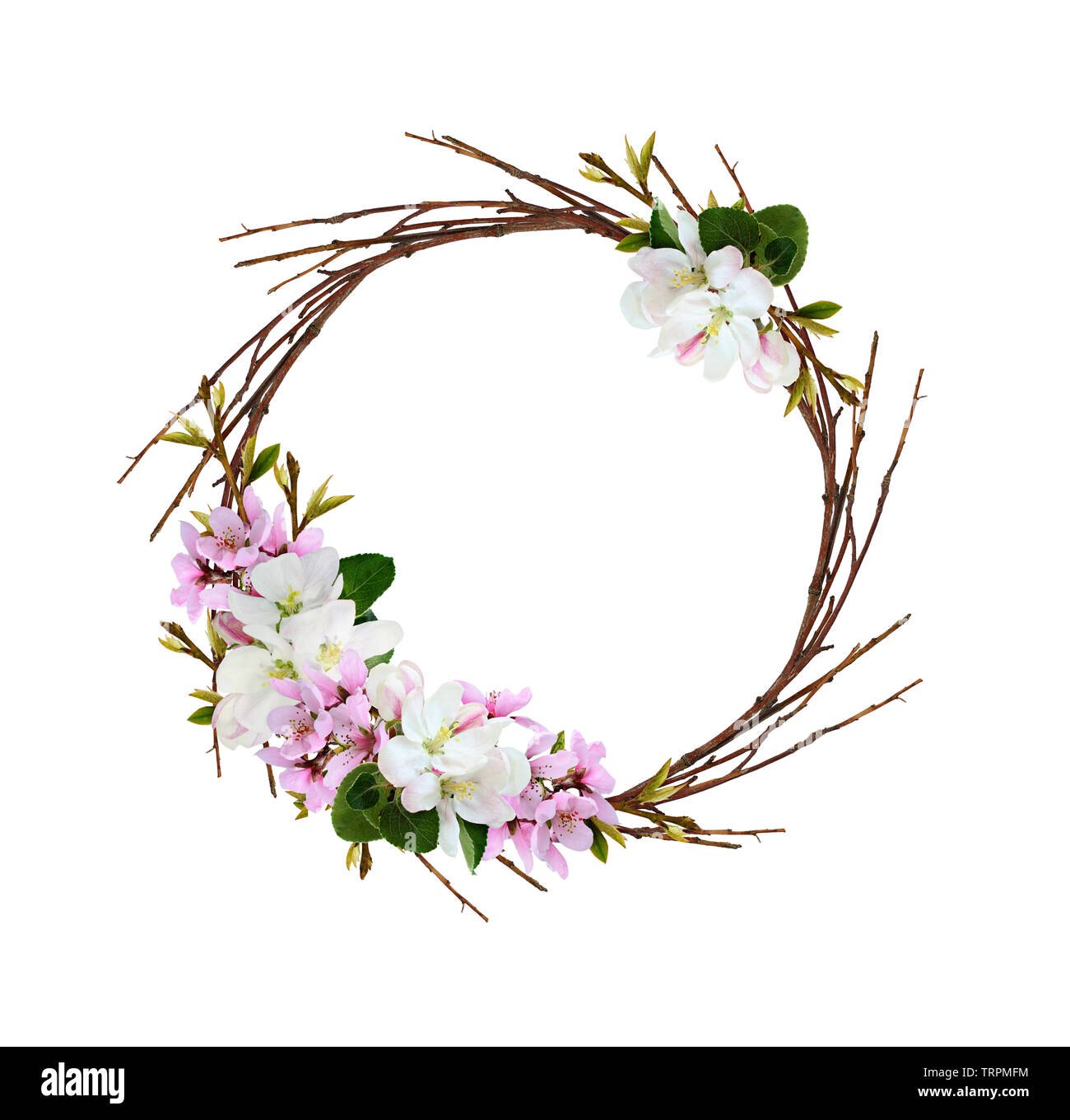 Ghirlanda rotonda da ramoscelli secchi con rami della molla di pesca e mela fiori isolati su sfondo bianco Foto Stock
