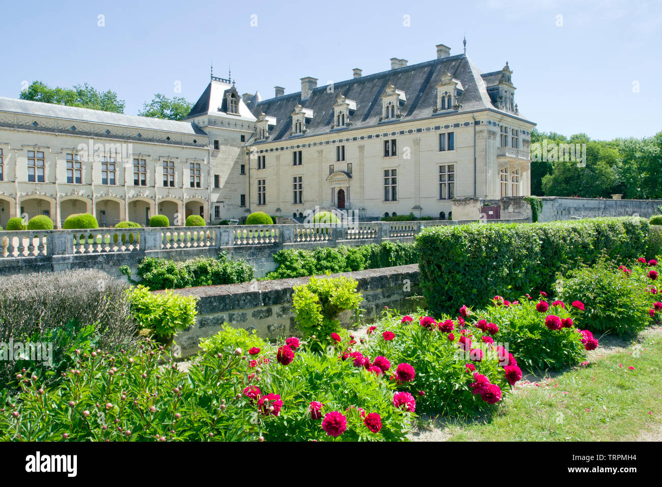 Château de Brézé Foto Stock