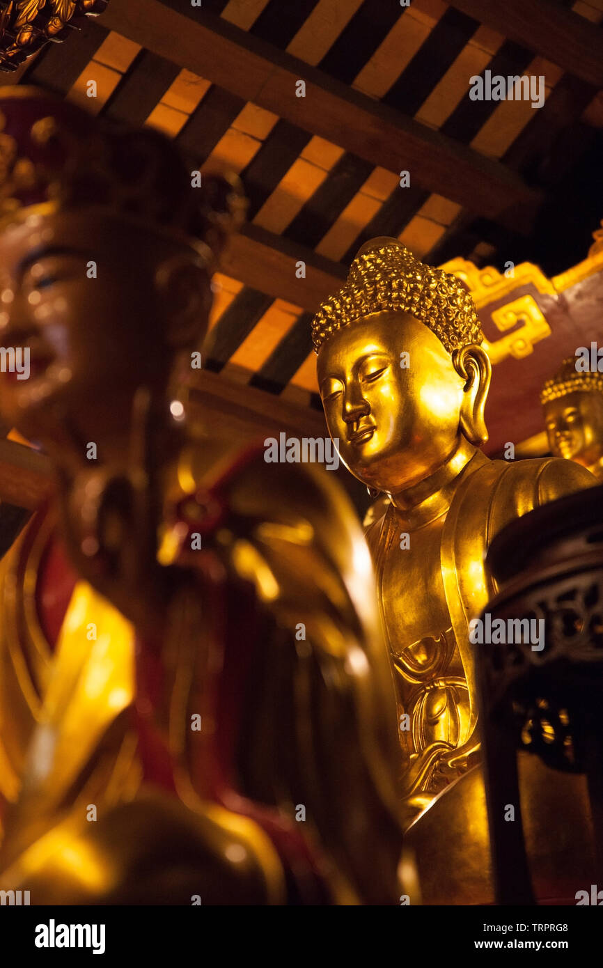 Golden statua del Buddha a Tu Lien Pagoda in Hanoi, Vietnam Foto Stock