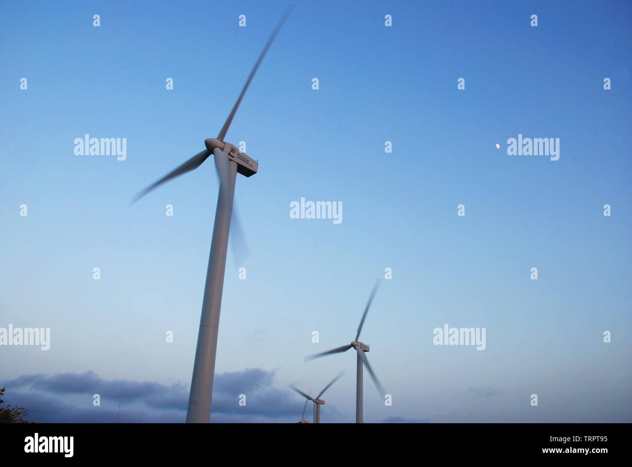Wind Farm. Lanzarote, Isole Canarie, Spagna. Foto Stock