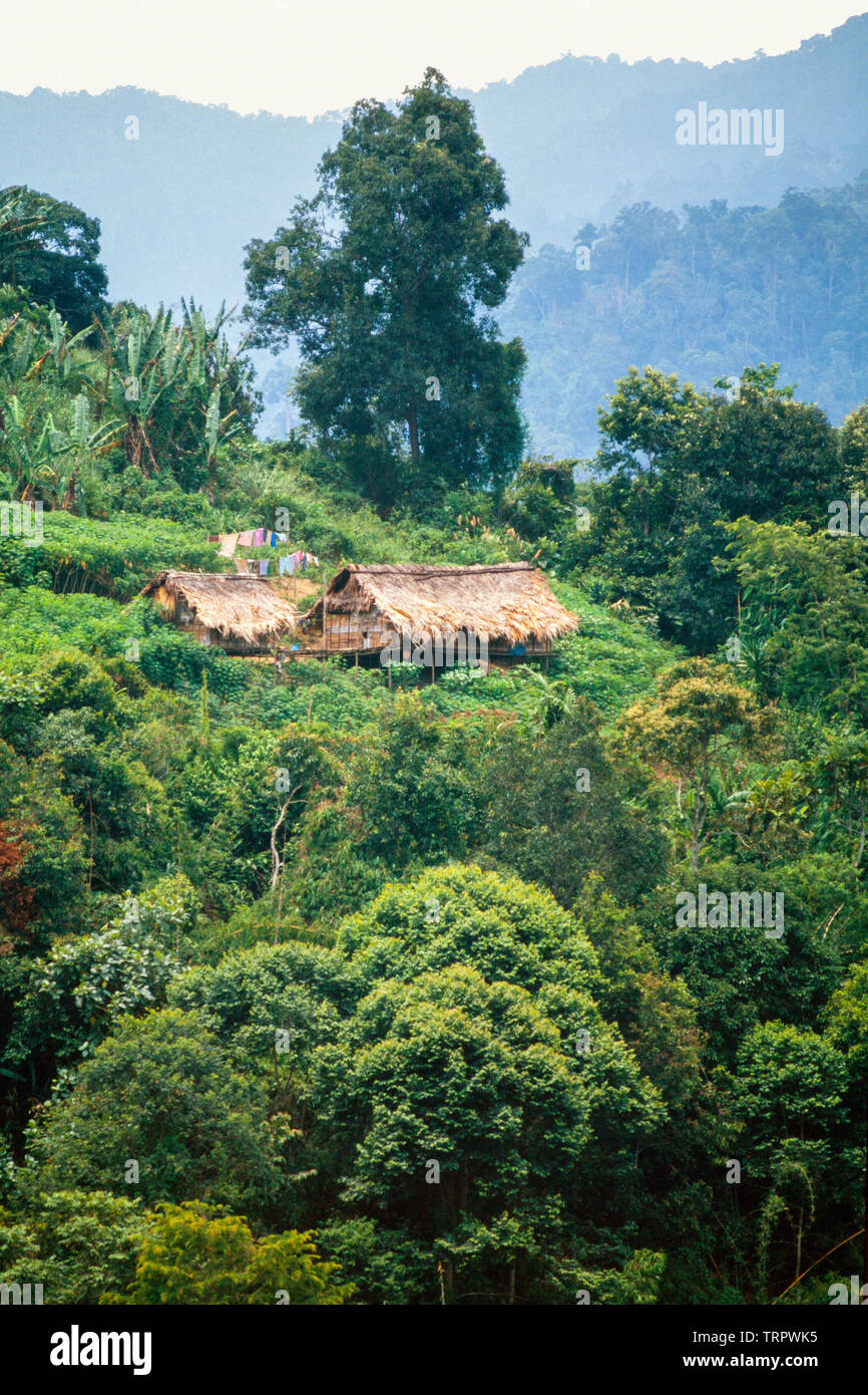 Orang Asli forest palafitta, Pahang, Malaysia Foto Stock