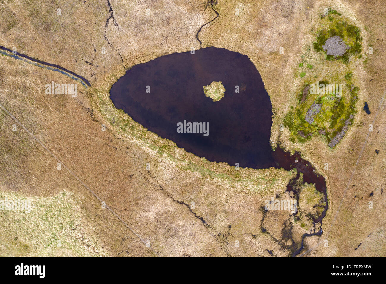 Vista aerea di un piccolo stagno su un muschio coperto campo di lava in Islanda da fuco Foto Stock