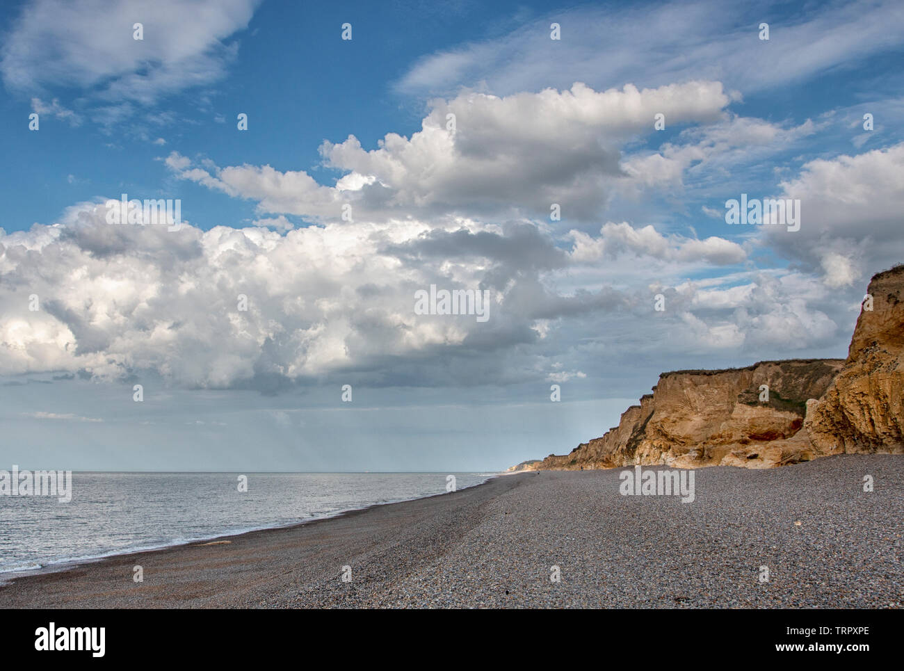 Weybourne scogliere all'ora d'oro, Norfolk Foto Stock