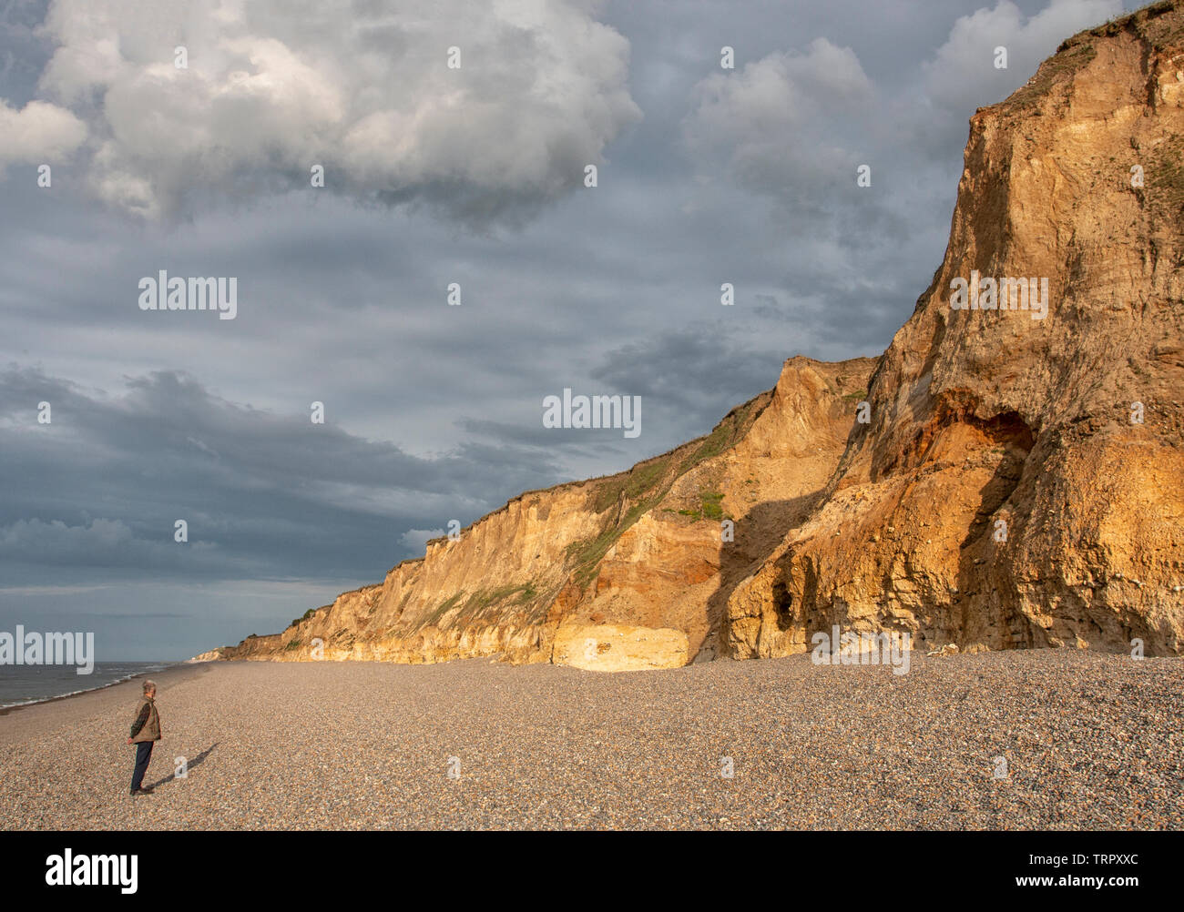 Weybourne scogliere all'ora d'oro, Norfolk Foto Stock