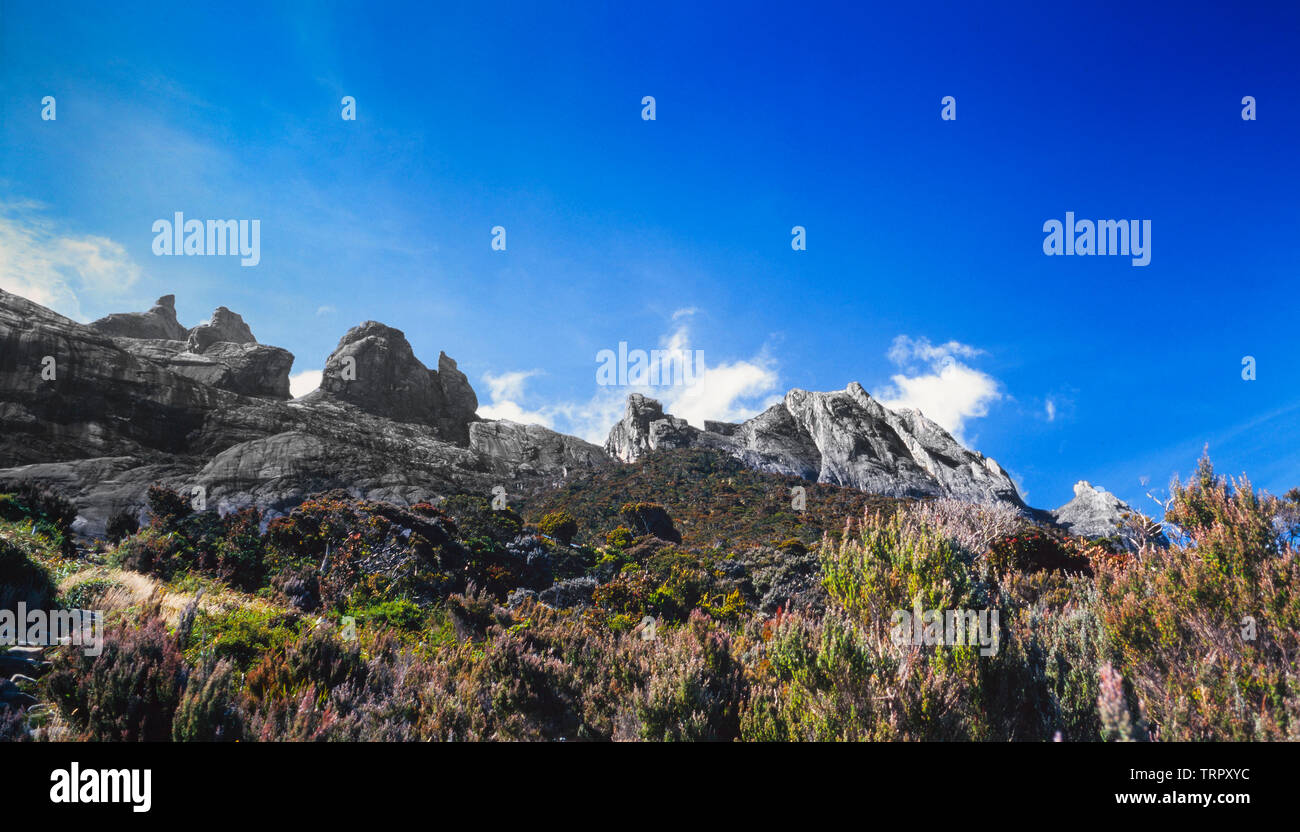 Mount Kinabalu National Park, Sabah, Malaysia orientale. Sentiero del vertice, vista al 3200 meteres, mostrando scrub come habitat. Foto Stock