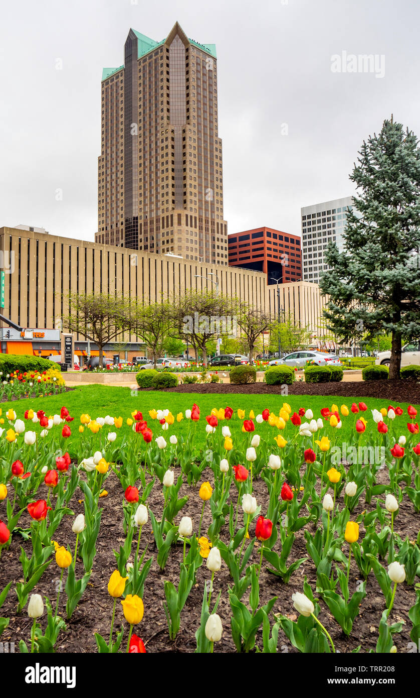 Fioritura tulipani nel giardino della città Parco della scultura di St Louis nel Missouri negli Stati Uniti. Foto Stock