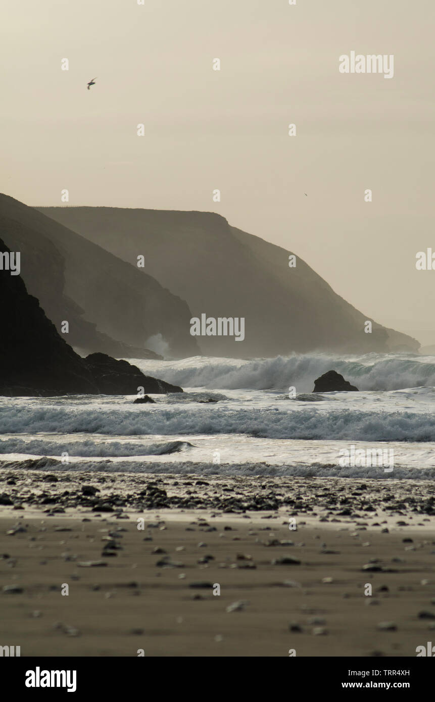 Scena di spiaggia con scogliere e Seagull Foto Stock