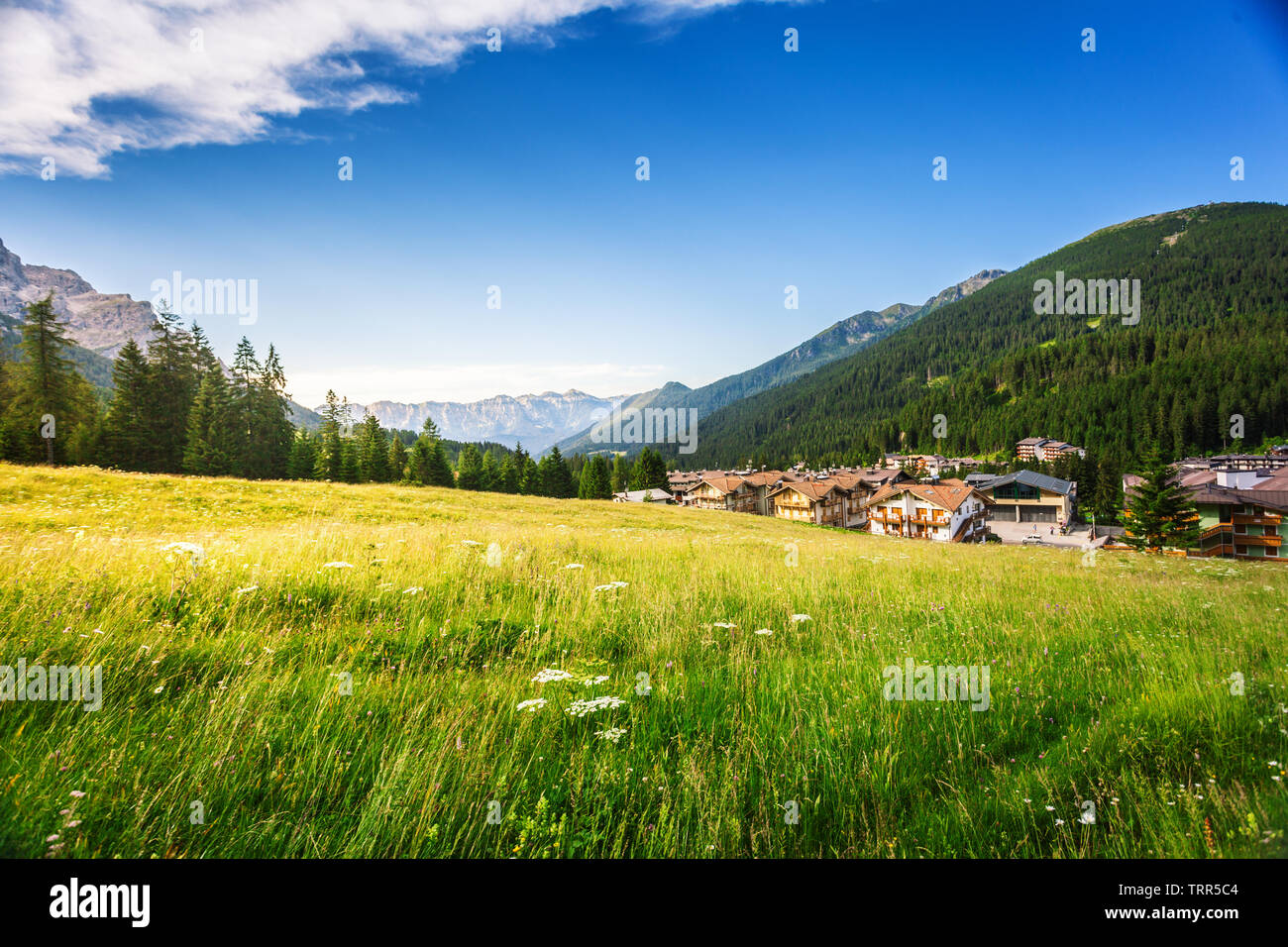 I prati alpini a San Martino di Castrozza, villaggio del Trentino Alto Adige in Italia Foto Stock