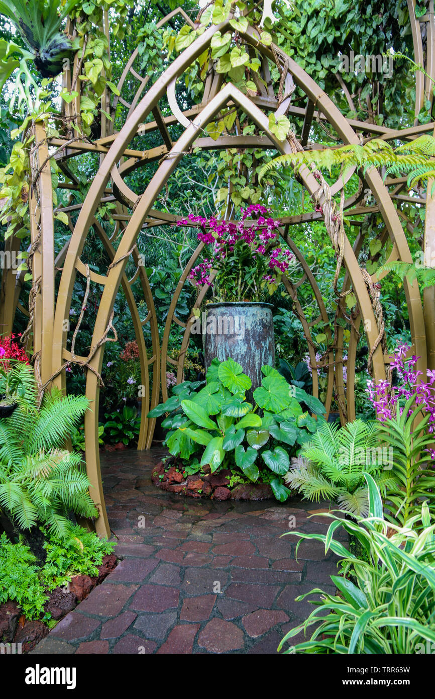Bella arch presso il National Orchid Garden, Singapore Botanic Gardens, Singapore, Asia Foto Stock