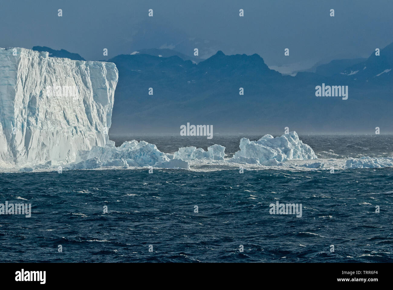 Sfaldatura di iceberg al largo delle coste della Georgia del Sud Antartide Foto Stock