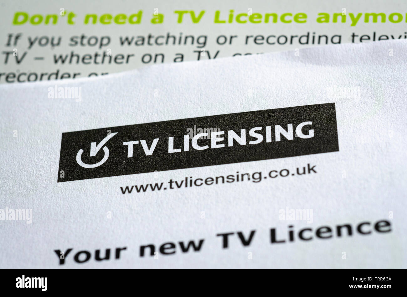 Close up della televisione licenza per il Regno Unito, la tassa è pagata annualmente ed è utilizzato per finanziare i servizi della BBC Foto Stock