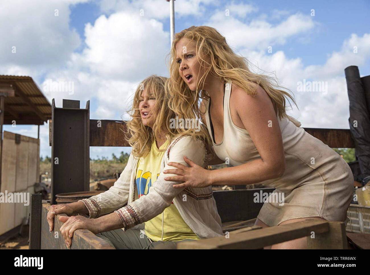 Strappato 2017 film con Goldie Hawn a sinistra e Amy Schumer Foto Stock