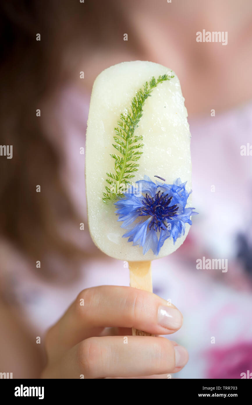 Sorbetto al limone ghiaccioli con fiordaliso e corniola Foto Stock