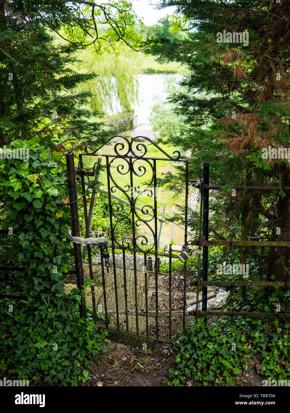 Metal di gate tradizionale, con vista del fiume Tamigi, percorso Ridgeway, Goring, Oxfordshire, Inghilterra, Regno Unito, GB. Foto Stock