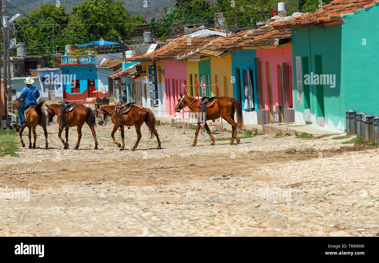 Cowboy conduce una stringa di cavalli attraverso una strada di ciottoli rivestiti con case colorate nella città di Trinidad, Cuba, Caraibi Foto Stock