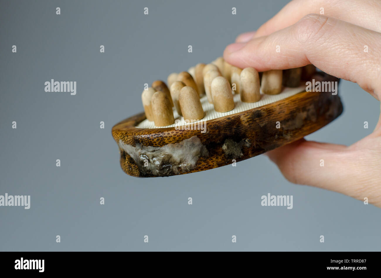 Disgustoso il fungo della donna in legno spazzola per massaggi. Close up. Per la pulizia della casa del concetto. Foto Stock