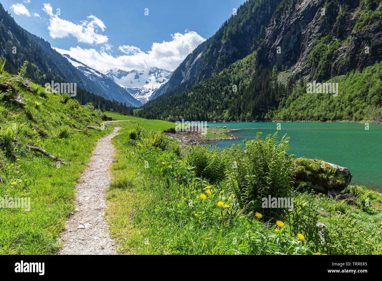 Escursione idilliaca destinazione scenic in estate nelle Alpi, vicino Lago Stillup, Alpi della Zillertal Natura Park, Austria, Tirolo Foto Stock