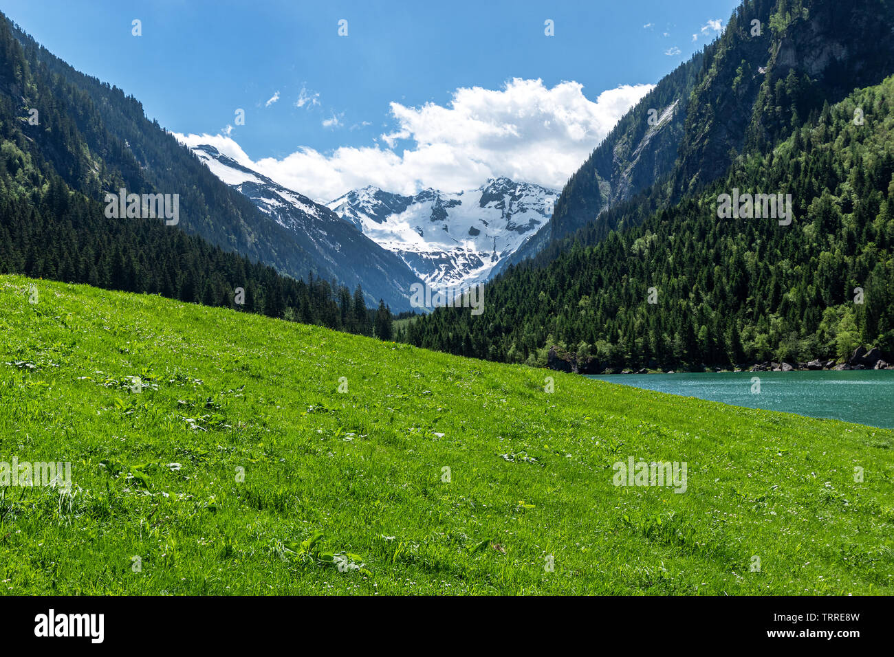 Vista panoramica di idilliaco paesaggio di montagna delle Alpi con un fresco e verde prato e nevoso coperto vette, Alpi della Zillertal Natura Park, Austria, Foto Stock