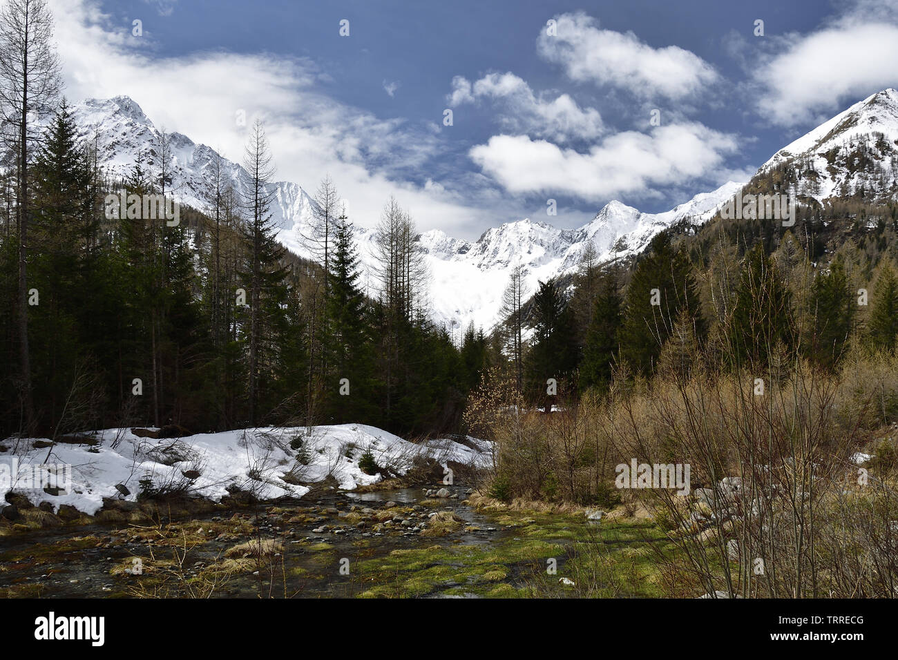 Immagine della Valle di Chiareggio creata dall'azione secolare della disgrazia glacier Foto Stock