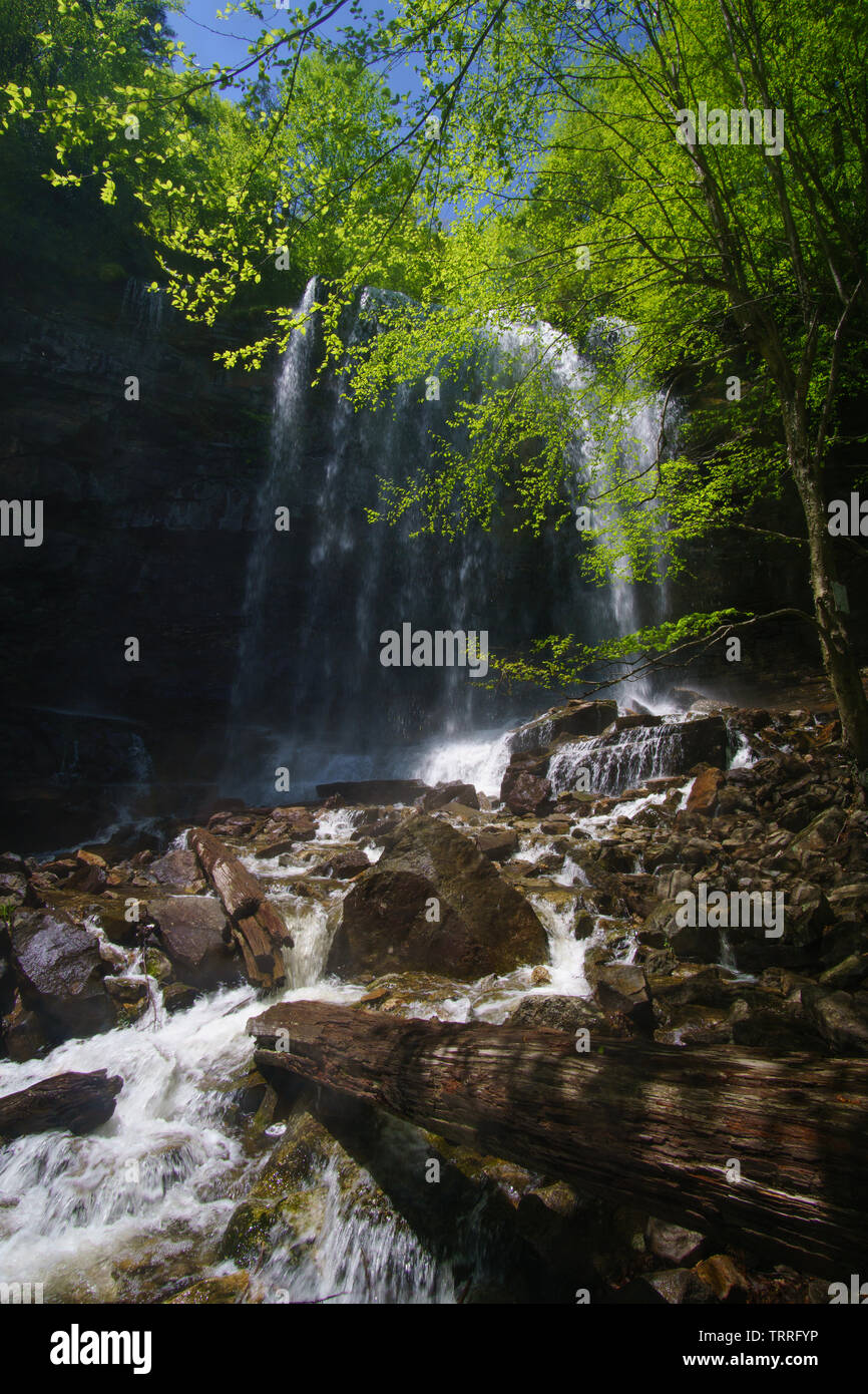Glen Onoko Falls, Lehigh Gorge State Park, Jim Thorpe, Pennsylvania Foto Stock
