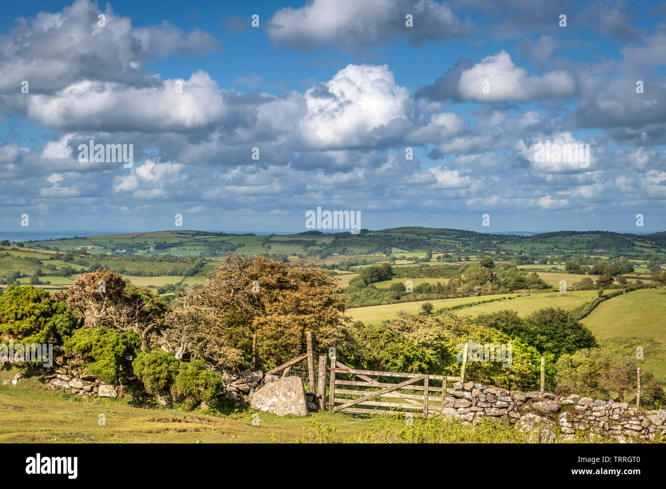 Uno dei molti confini che attraversano il paesaggio del Parco Nazionale di Dartmoor nel Devon, in Inghilterra. Foto Stock