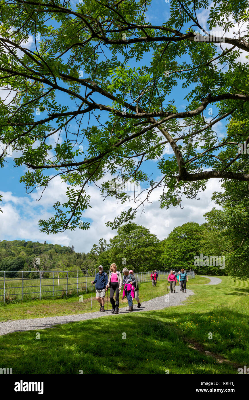 Walkers nel distretto del lago, Cumbria, Regno Unito Foto Stock