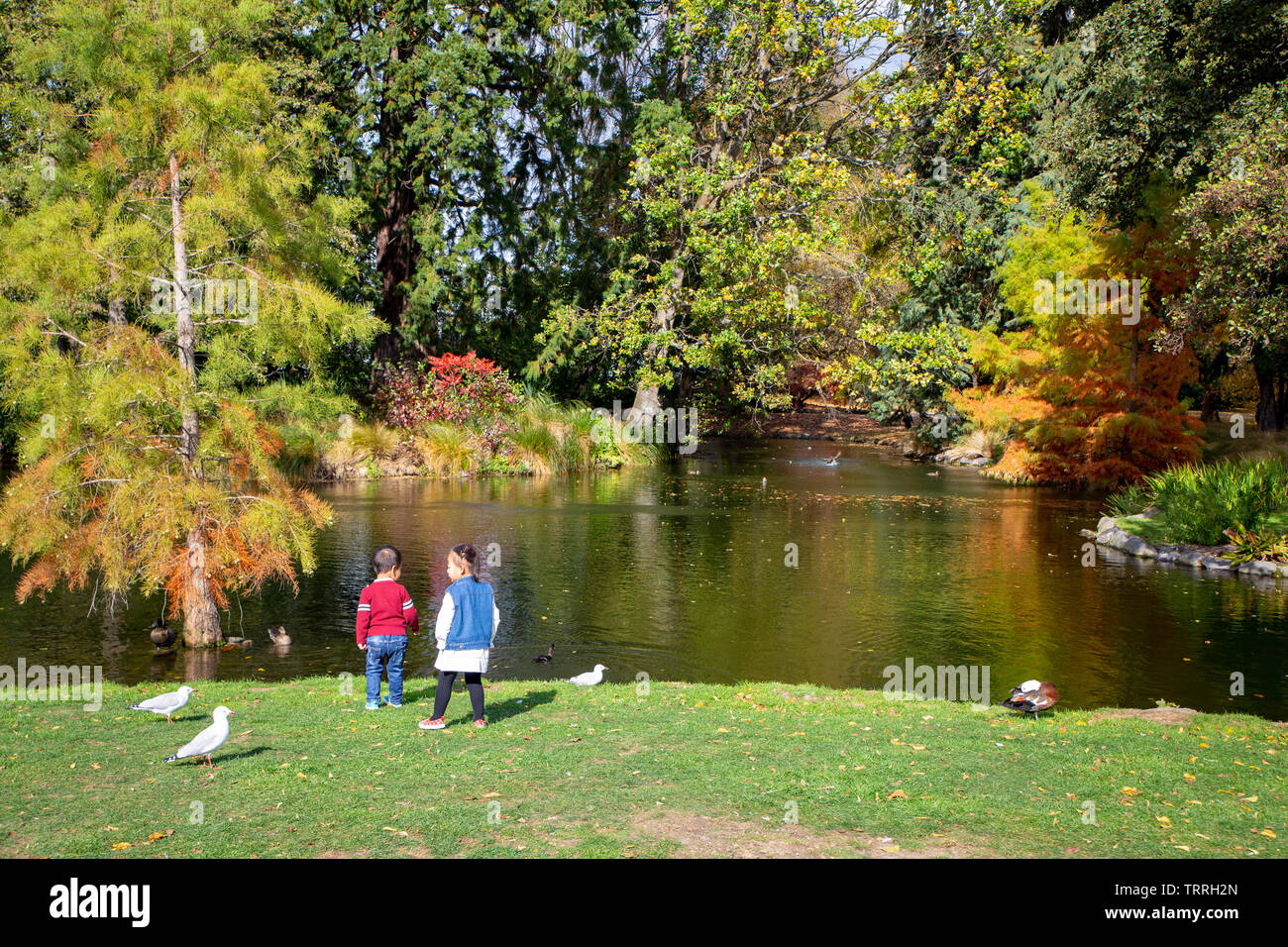 Christchurch, Canterbury, Nuova Zelanda 27 Aprile 2019: Asian ai bambini di esplorare e giocare nel giardino botanico in Christchurch city centre Foto Stock
