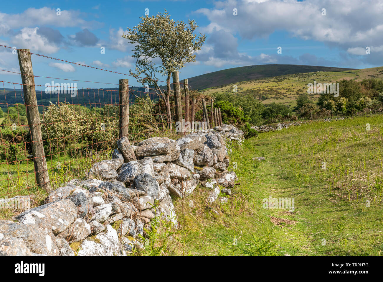 Uno dei molti confini che attraversano il paesaggio del Parco Nazionale di Dartmoor nel Devon, in Inghilterra. Foto Stock
