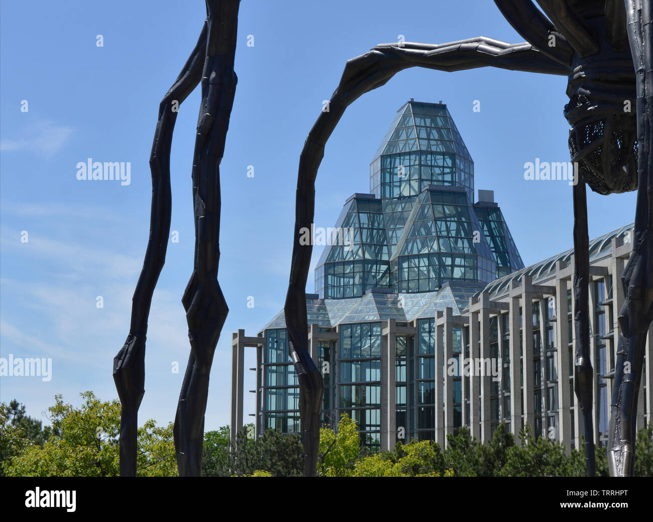Vista est della galleria nazionale del Canada da sotto una scultura di un ragno. Foto Stock