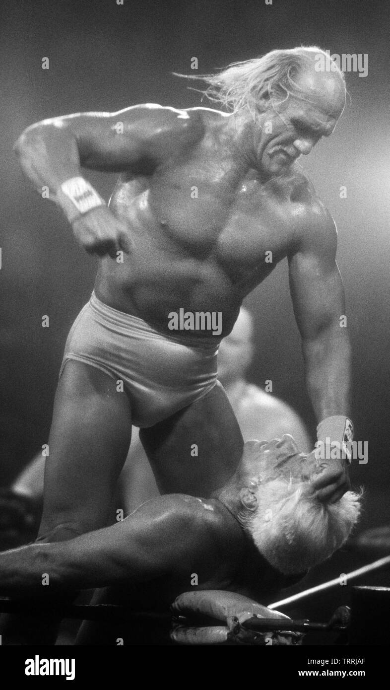 Hulk Hogan Ric Flair 1995John Barrett/PHOTOlink.net / MediaPunch Foto Stock Hulk Hogan Ric Flair 1995John Barrett/PHOTOlink.net / MediaPunch Foto Stock